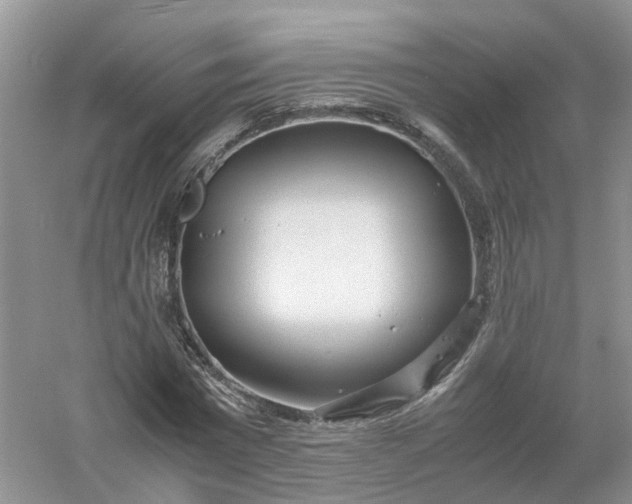 X0000061110777200512022124