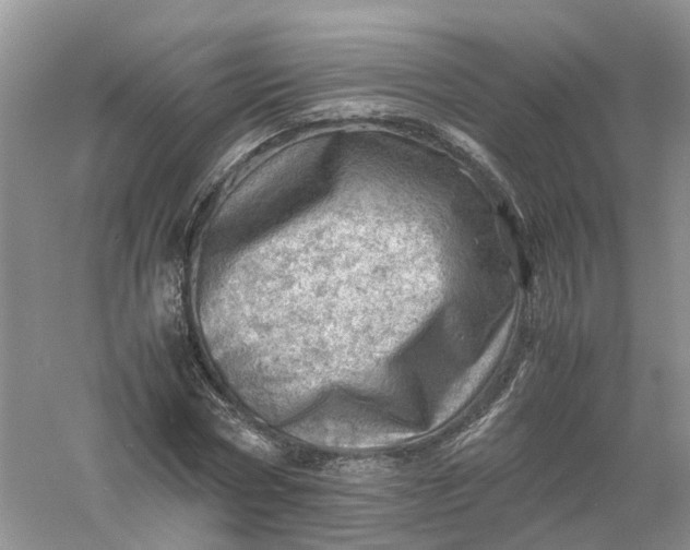 X0000061110778200512022124