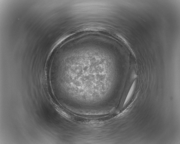 X0000061110779200512022124