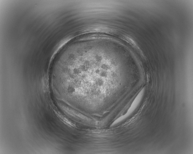 X0000061110780200512022124