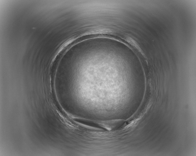 X0000061110781200512022124