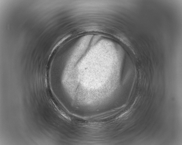 X0000061110782200512022124