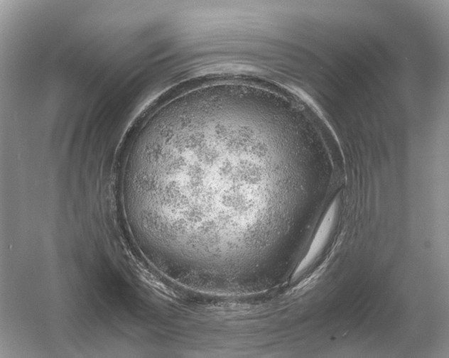 X0000061110783200512022124