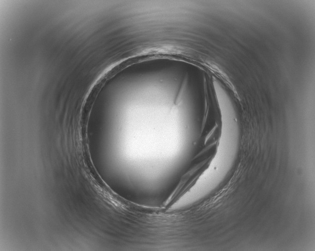 X0000061110784200512022124