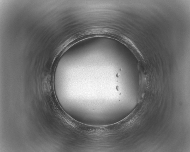 X0000061110786200512022124