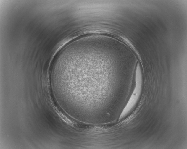 X0000061110787200512022124