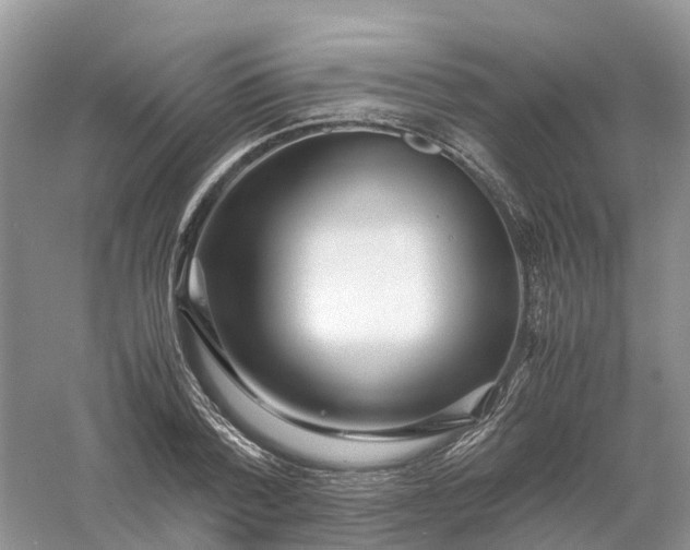 X0000061110788200512022124