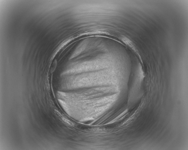 X0000061110789200512022124