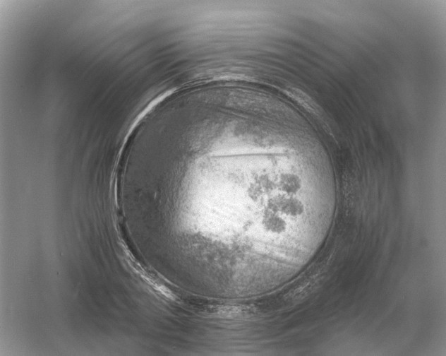 X0000061110790200512022124