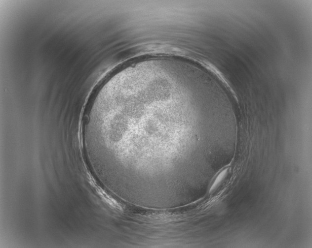 X0000061110791200512022124