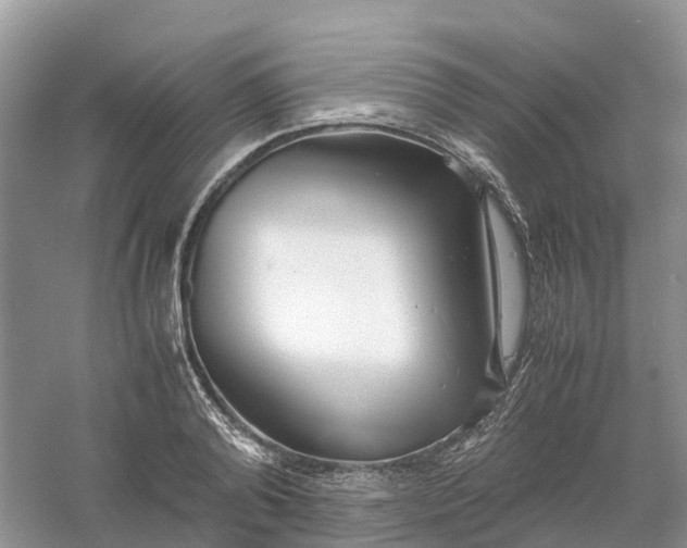 X0000061110792200512022124