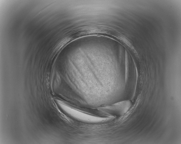 X0000061110793200512022124