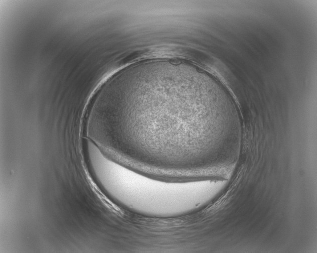 X0000061110795200512022124