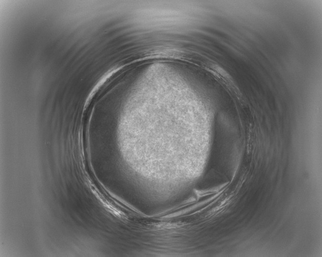 X0000061110796200512022124