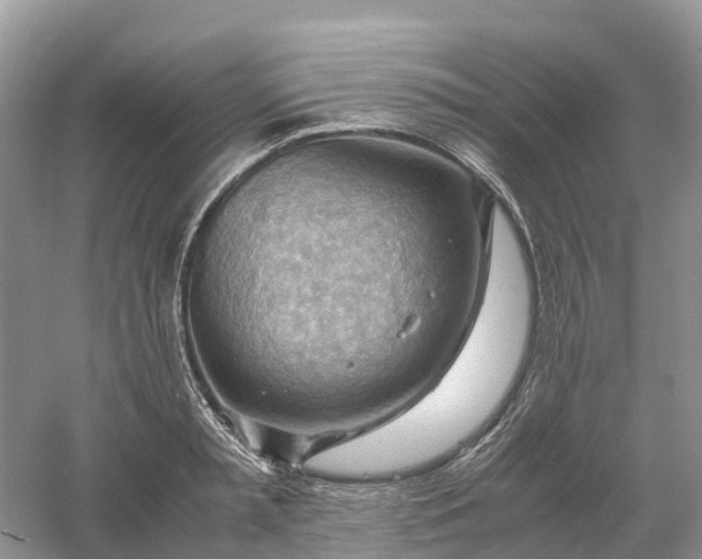 X0000061110797200512022124