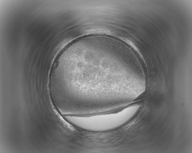 X0000061110799200512022124