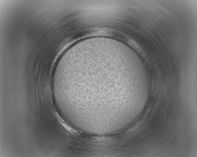 X0000061110800200512022124