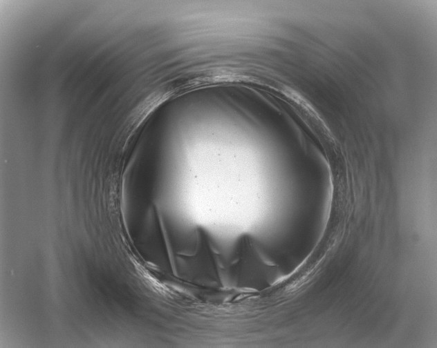 X0000061110801200512022124