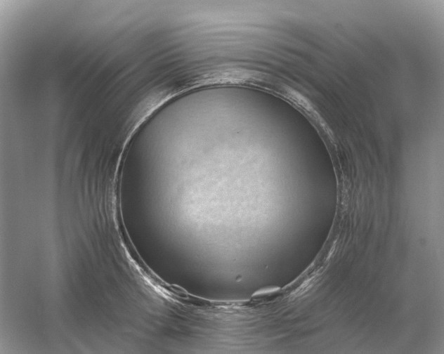 X0000061110802200512022124