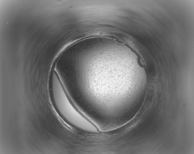 X0000061110803200512022124