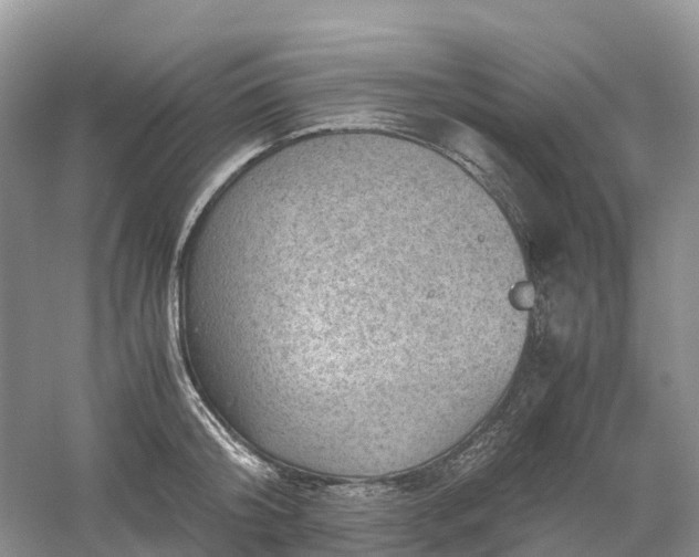 X0000061110804200512022124