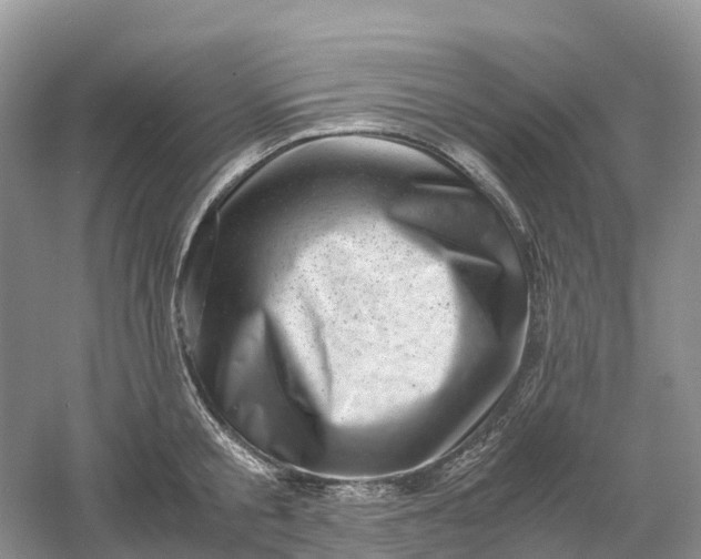 X0000061110805200512022124