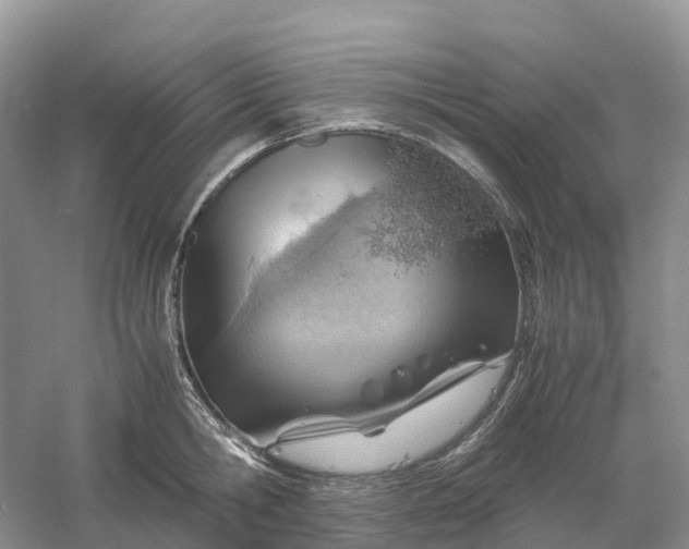 X0000061110806200512022124