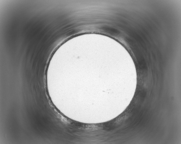 X0000061110807200512022124