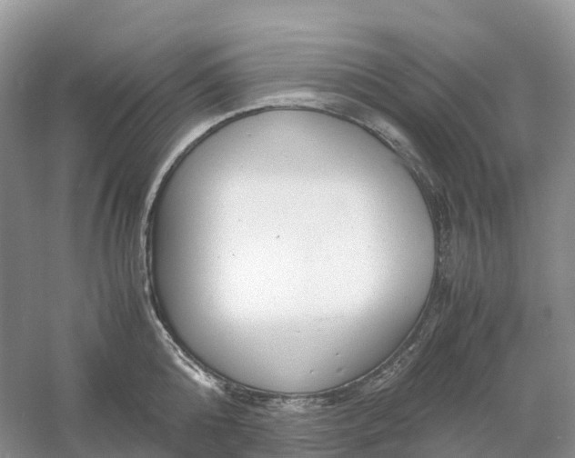 X0000061110808200512022124