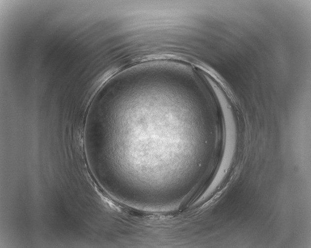 X0000061110809200512022124