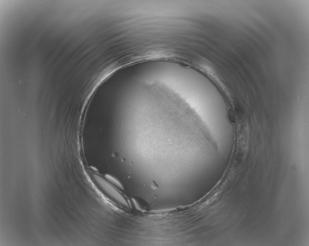 X0000061110810200512022124