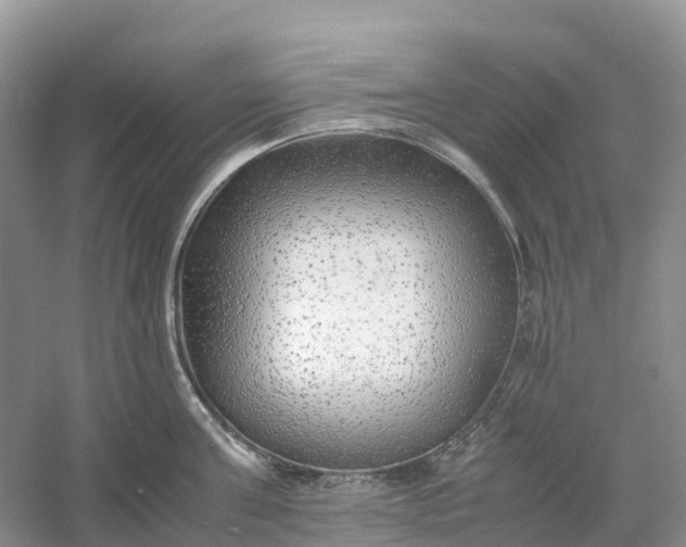 X0000061110811200512022124