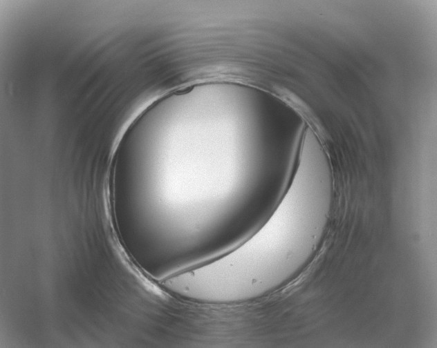 X0000061110812200512022124