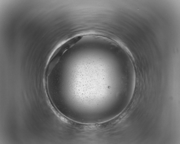 X0000061110813200512022124