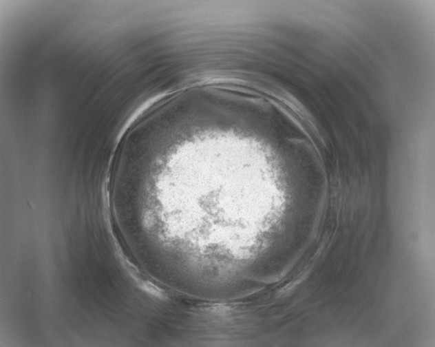 X0000061110814200512022124