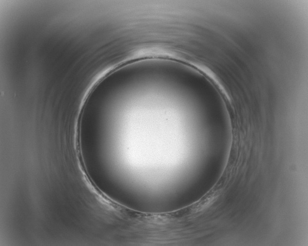 X0000061110815200512022124