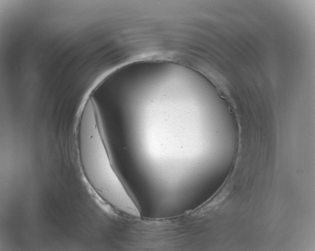 X0000061110816200512022124