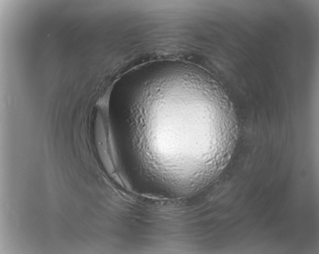 X0000061110817200512022123