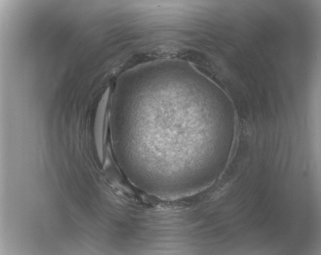 X0000061110818200512022123