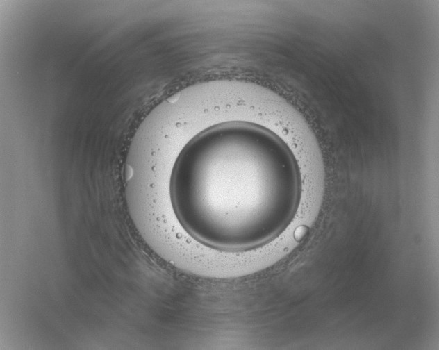 X0000061110820200512022123