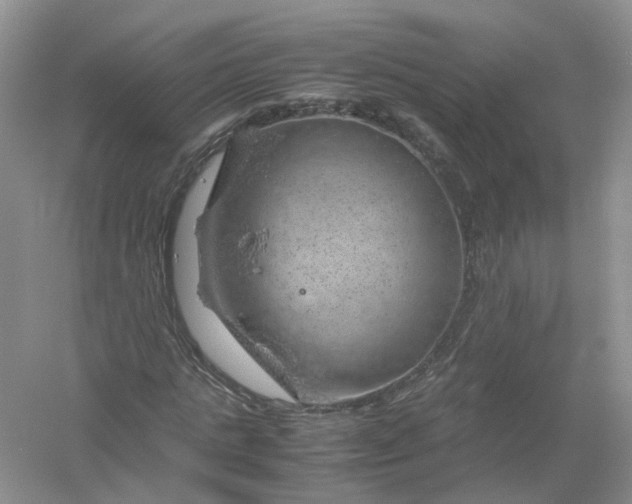 X0000061110821200512022123