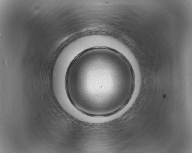 X0000061110822200512022123