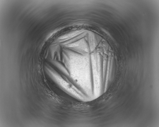 X0000061110823200512022123