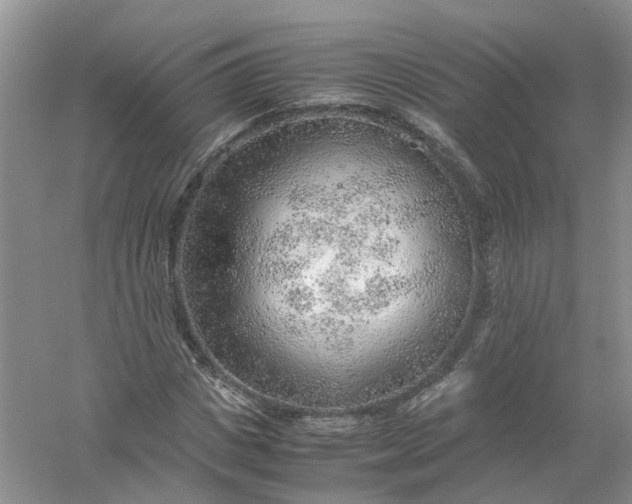 X0000061110825200512022123