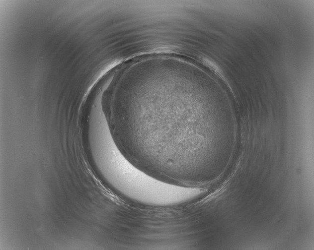 X0000061110827200512022123