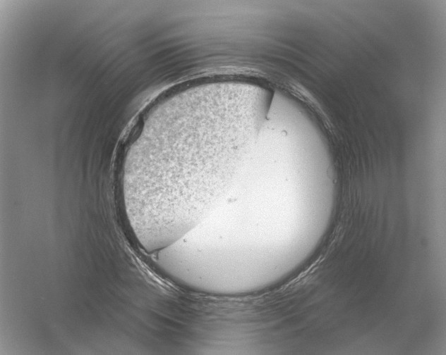 X0000061110828200512022123