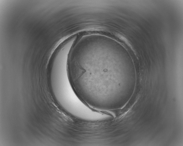 X0000061110829200512022123