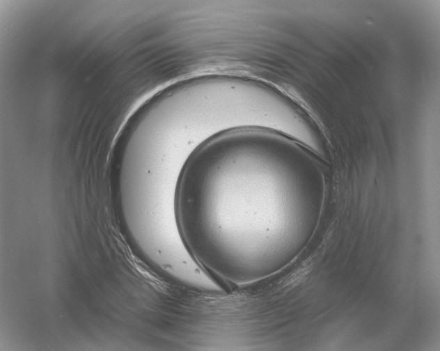 X0000061110830200512022123