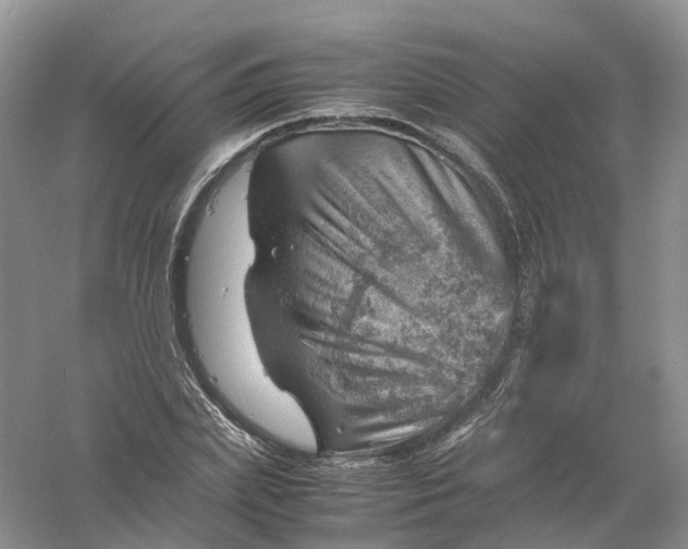 X0000061110831200512022123