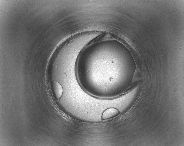 X0000061110832200512022123